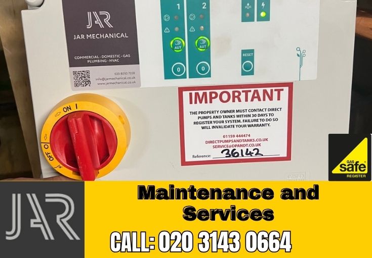 Domestic Maintenance and Services Bromley